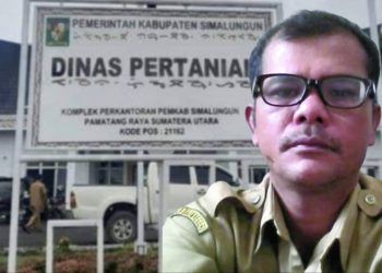 Pokir Anggota DPRD Simalungun “Lewong” di Dinas Pertanian, ES: Dibuat Kayak Anak-Anak
