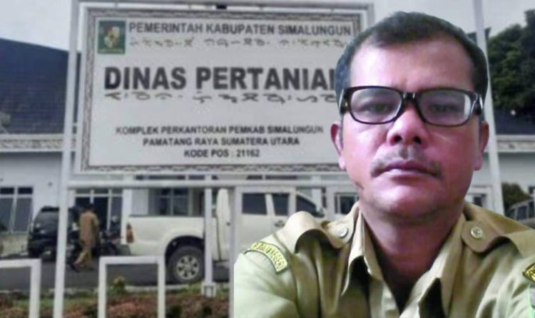 Pokir Anggota DPRD Simalungun “Lewong” di Dinas Pertanian, ES: Dibuat Kayak Anak-Anak