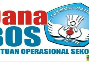 Dana BOS SDN 091433 Manik Rambung Bermasalah, Nominalnya 90 Juta