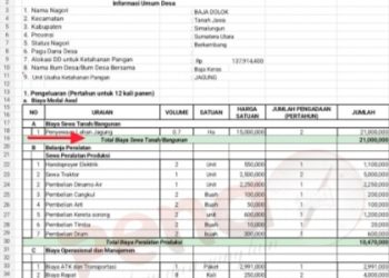 Kebun BJ Pinjam Pakaikan Lahan, BUMDes di Baja Dolok “Anggarkan Biaya Sewa 21 Juta”, Vincent: Waduh