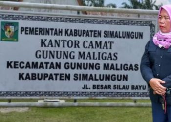 Mantan Napi Kasus Narkoba, Menjabat Salah Satu Jabatan di Kantor Camat Gunung Maligas