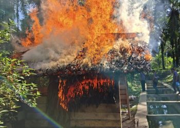 Tangkapan Dilepas Sat Narkoba Simalungun, Pangulu Mekar Bahalat Jijik