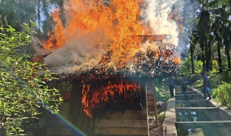 Tangkapan Dilepas Sat Narkoba Simalungun, Pangulu Mekar Bahalat Jijik