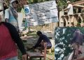 Pekerja Tanpa APD dan Upah Justru dari Mandor, Bukan dari P2SP Revitalisasi SMPN 3 Tanah Jawa