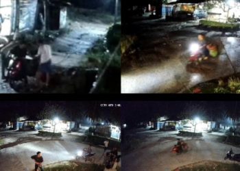 Rupanya, “Maling” Sawit Kebun Tonduhan Terekam CCTV Saat Beraksi, Telak!!