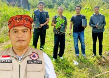 Lewat BPBD, Pemkab Simalungun Salurkan Ribuan Bibit Upaya Pelestarian Lingkungan