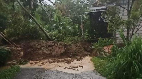 Hujan Deras Sebabkan Jalan di Desa Depok Trenggalek Longsor