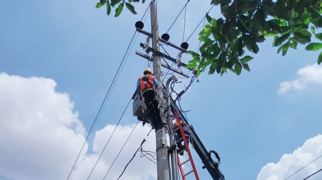 Petugas PLN memperbaiki jaringan listrik
