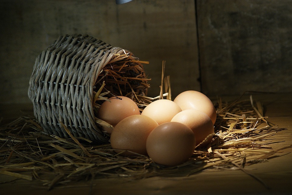 Harga Telur Ayam di Trenggalek Turun, Berikut Rinciannya
