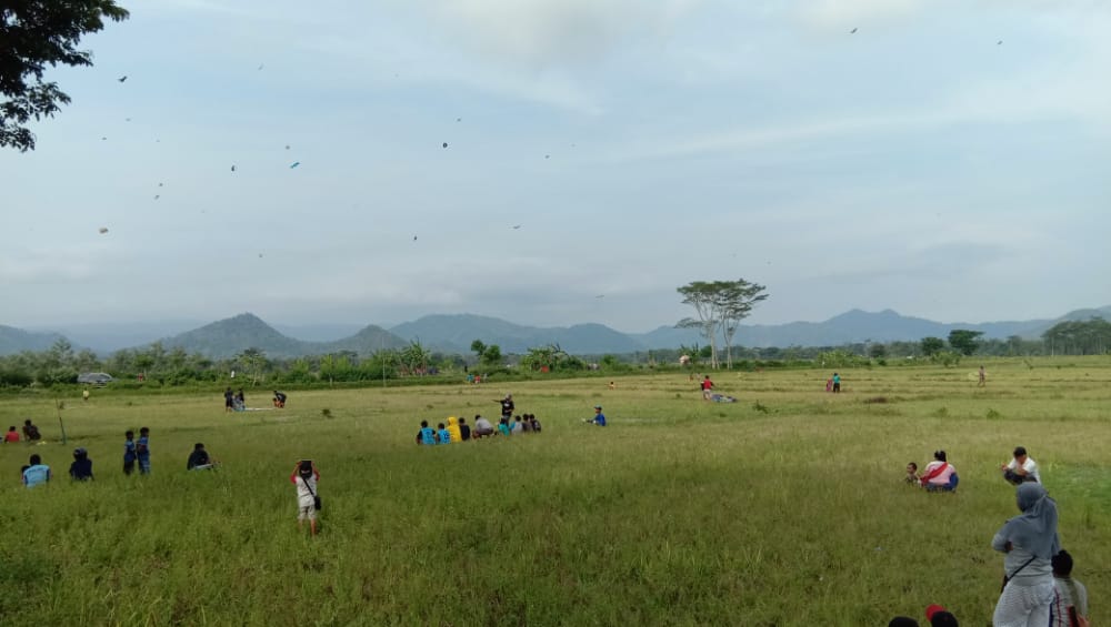 Ratusan layangan berterbangan di langit Trenggalek