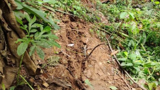 Lokasi tanah gerak di Desa Wonocoyo, Kecamatan Panggul, Trenggalek