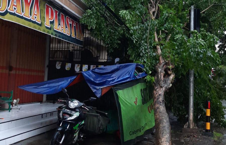 Pohon Tumbang Timpa Warung Sate Trenggalek