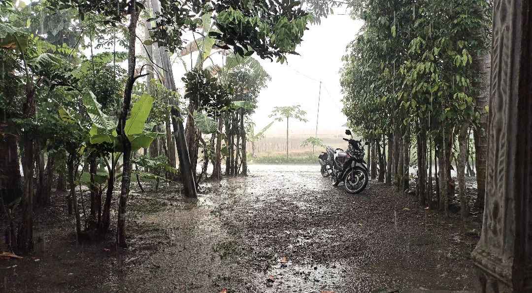 Hujan di Desa Banaran Kecamatan Tugu Kabupaten Trenggalek