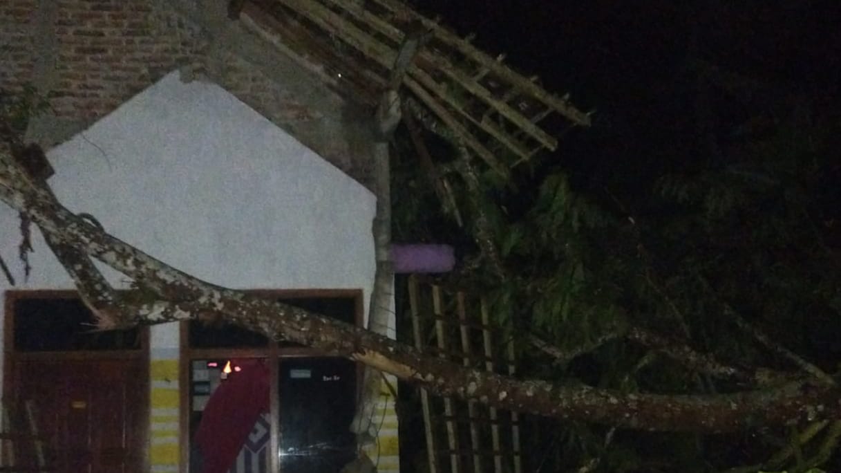 Rumah warga Gandusari Trenggalek yang tertimpa pohon tumbang
