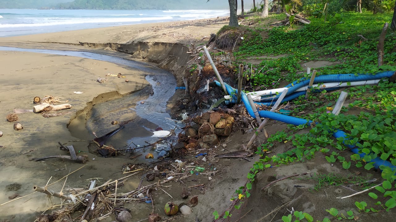 Limbah tambak udang yang langsung dibuang ke laut di Pantai Blado Munjungan