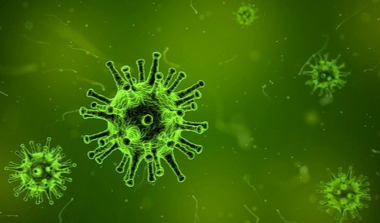 Ilustrasi virus hepatitis akut