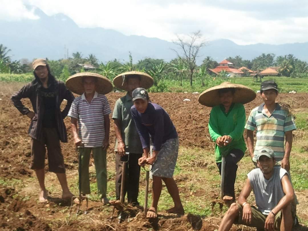 Jhe Mukti (kiri) bersama para petani jagung di Malang
