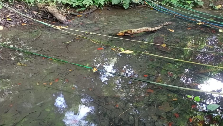 Sumber Air Nggedong di Dusun Banaran, Desa Timahan, Kecamatan Kampak, Kabupaten Trenggalek