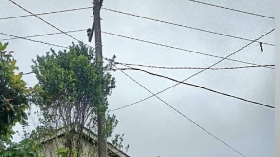 Tiang listrik terdampak longsor di Kecamatan Dongko yang akan dipindahkan