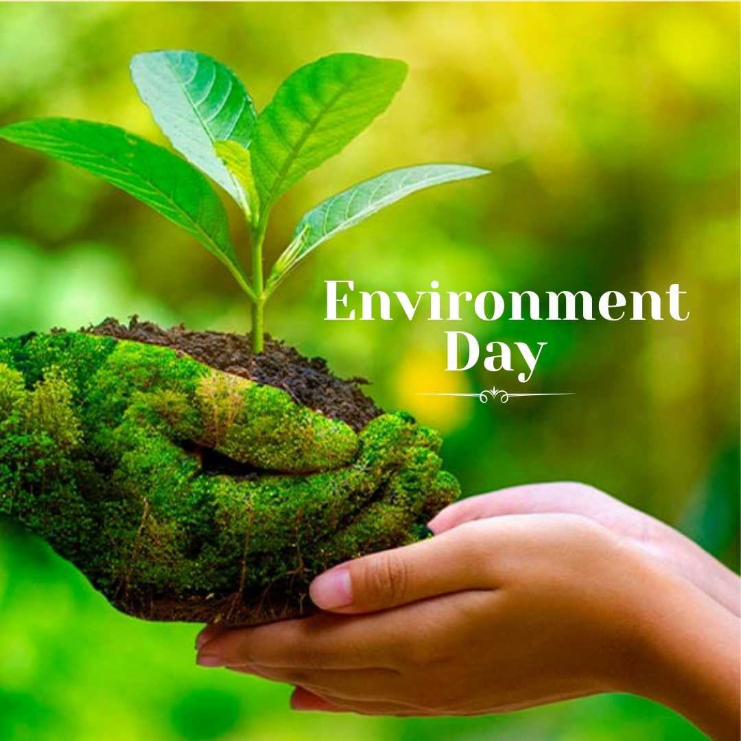 Hari Lingkungan Hidup Sedunia, didesain oleh KBRT