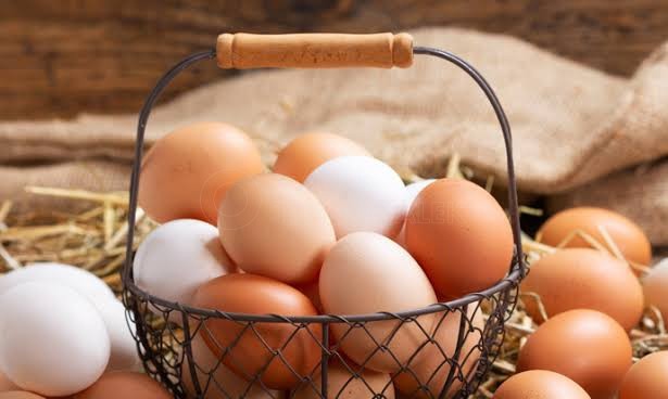 Ilustrasi kandungan nutrisi dalam telur