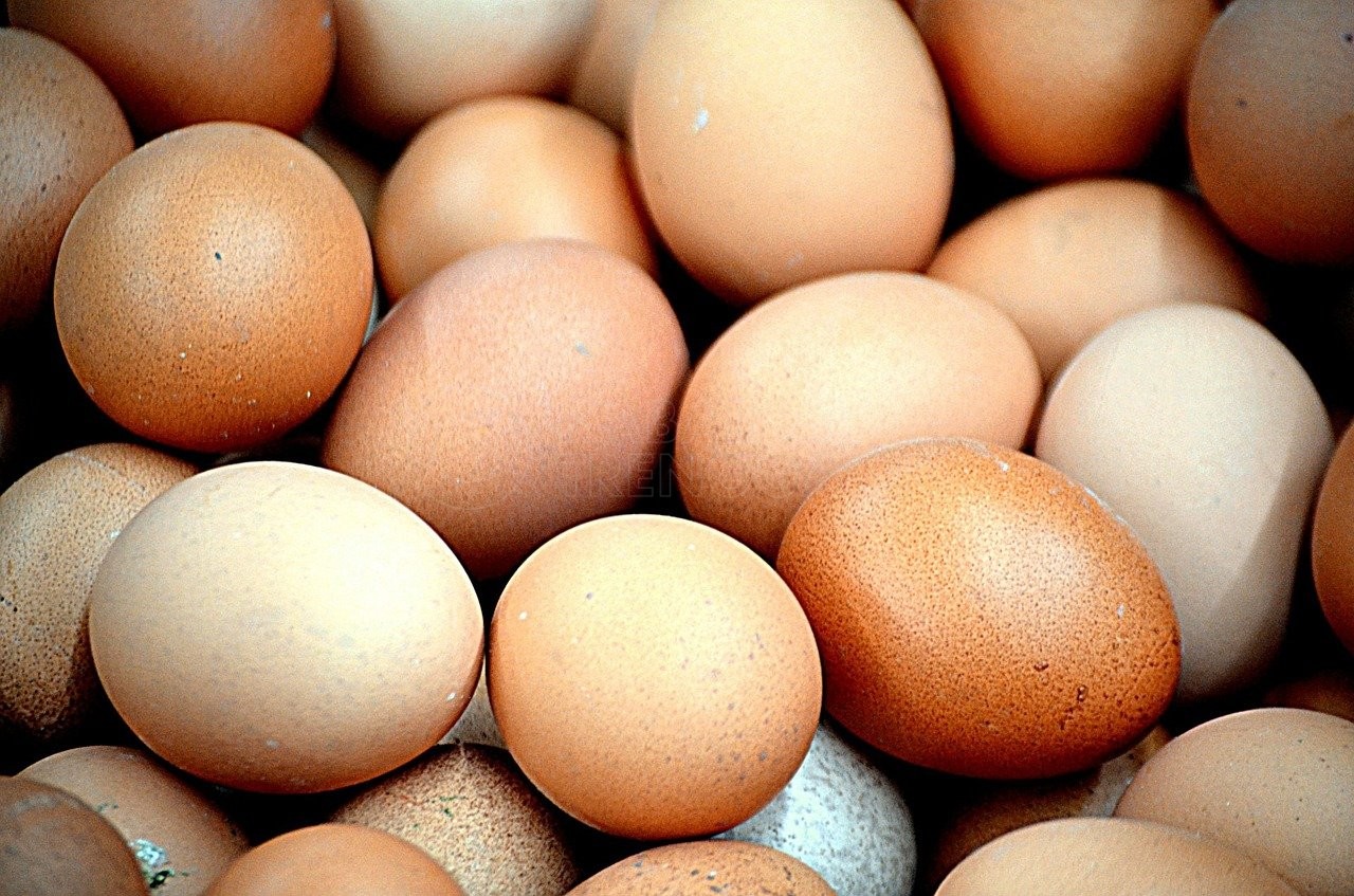 Telur Ayam Negeri