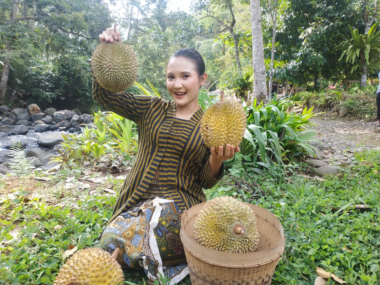 Buah durian yang lezat di Desa Wisata Durensari