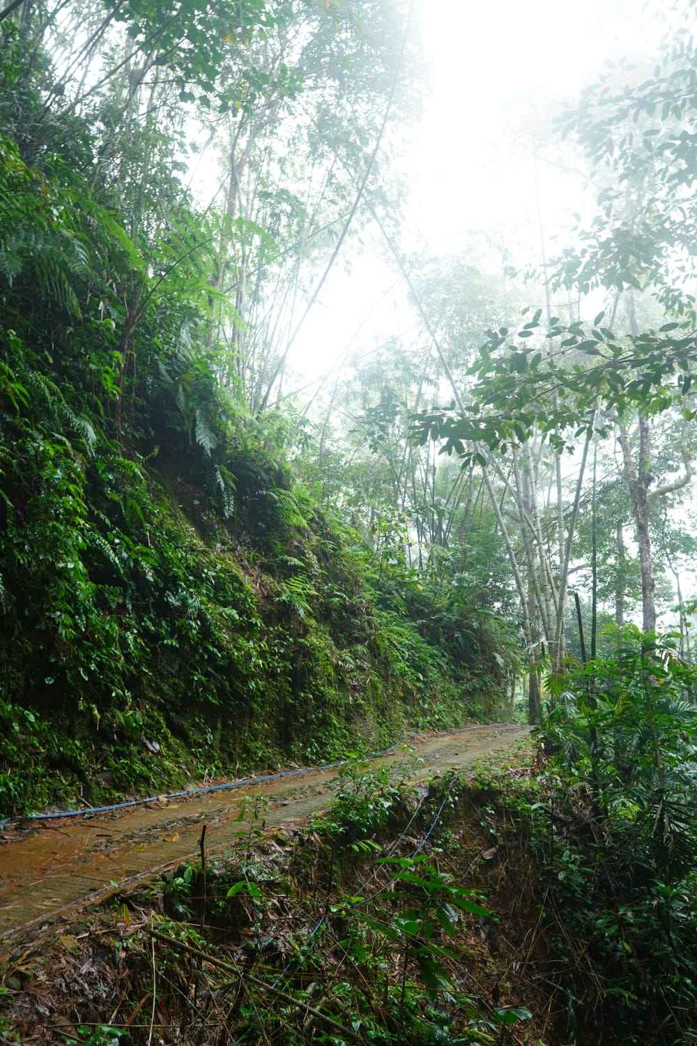Bentang alam Desa Dukuh Kecamatan Watulimo Trenggalek jalur LJA LBPS IX
