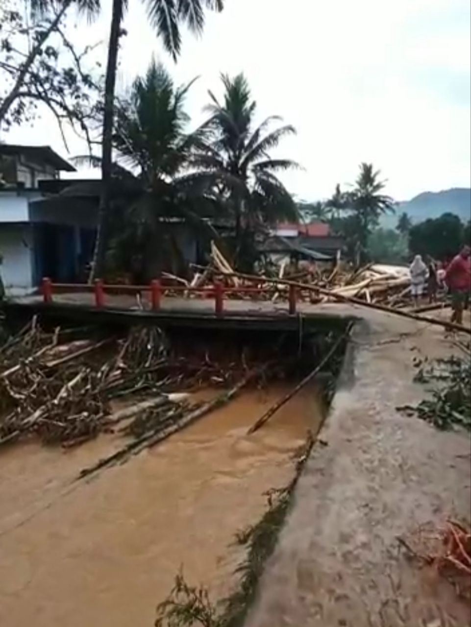 Banjir bandang membawa material kayu di jembatan Tasikmadu