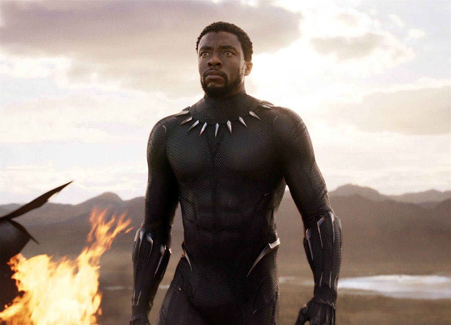 Chadwick Boseman Saat Memerankan Black Panther
