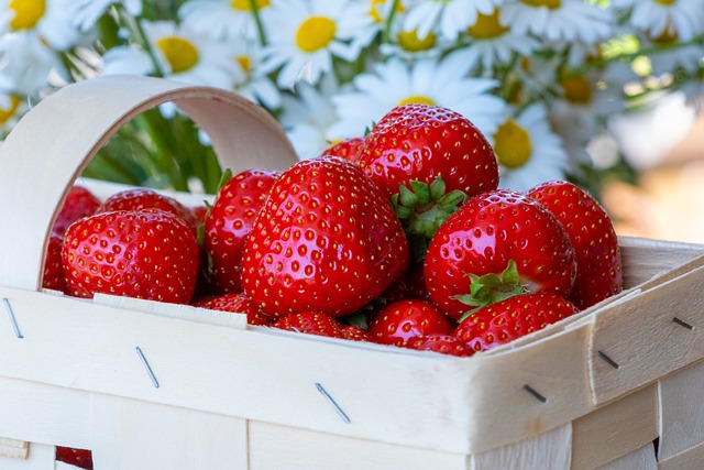 Ilustrasi generasi strawberry/Foto: Pixabay