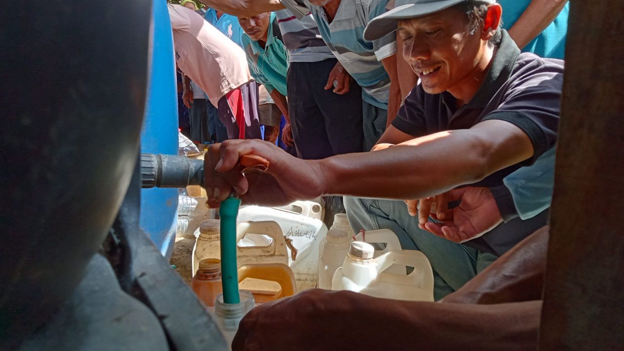 Hama Wereng Minggat, Kesaksian Petani Trenggalek Pakai Pupuk Organik  