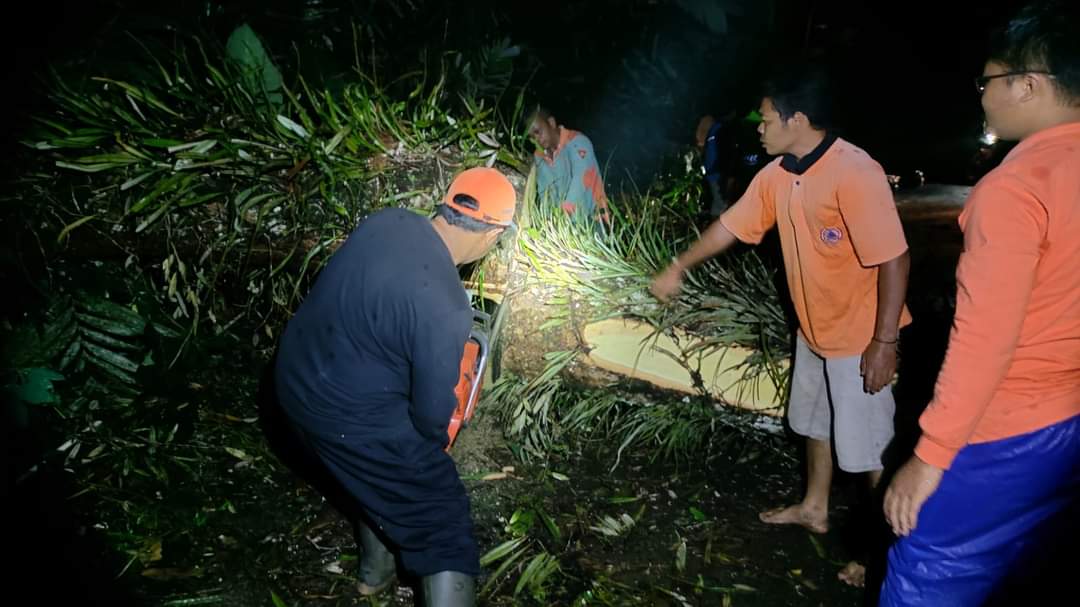 Pohon Tumbang Trenggalek, Jalan Kecamatan Bendungan Tertutup