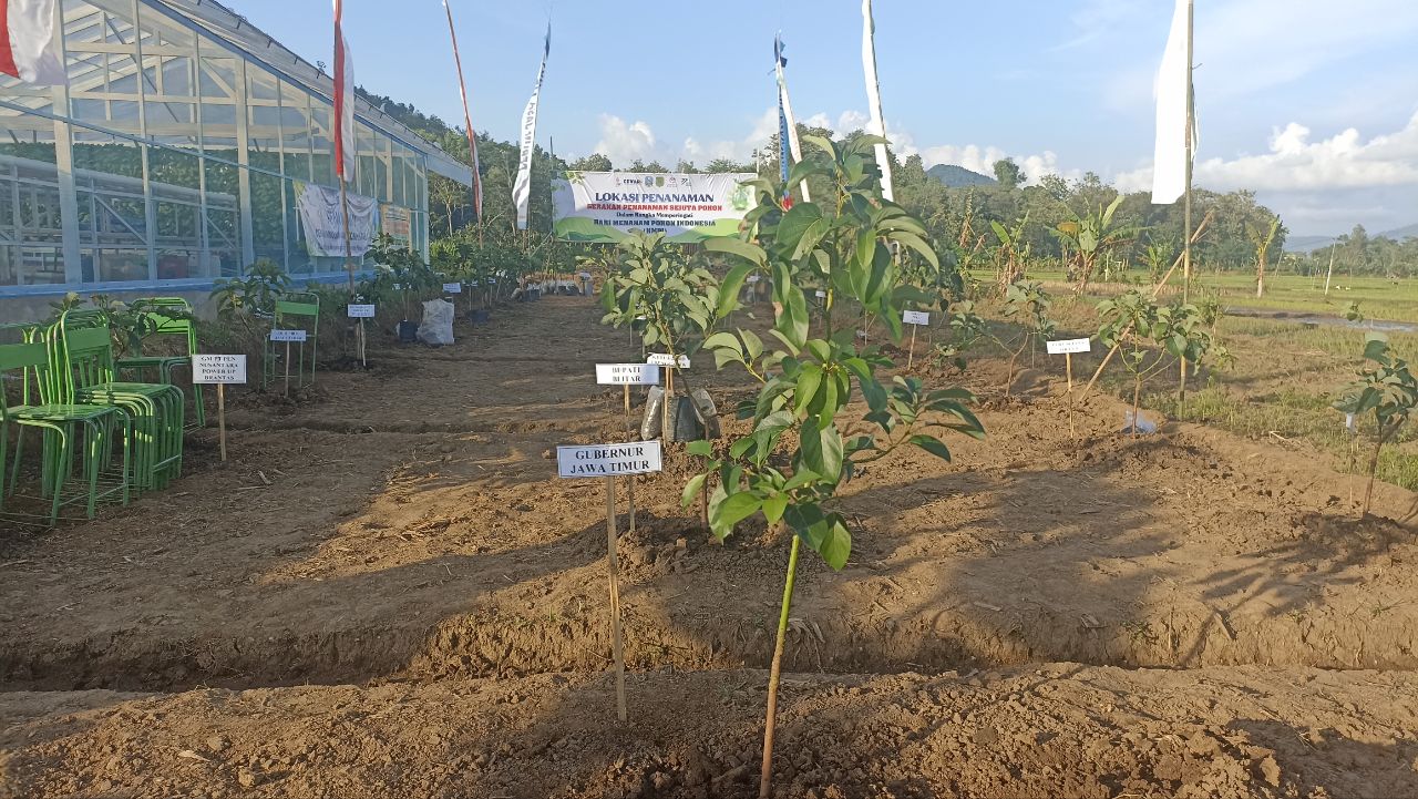 Pohon yang sudah ditanam oleh Gubernur Jawa Timur