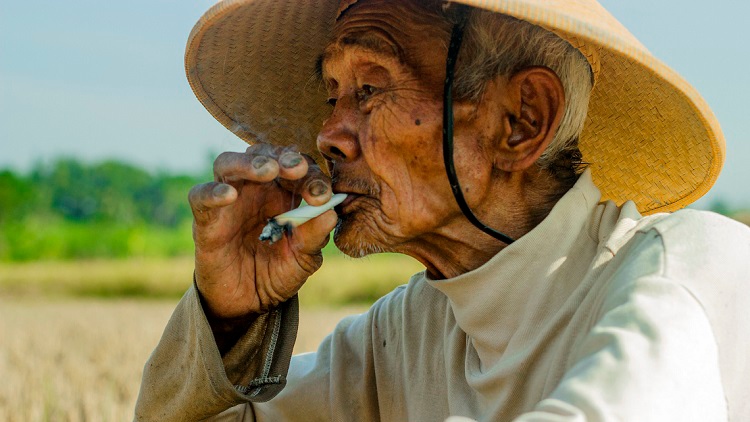 Seorang kakek sedang merokok di sawah/Foto: Komunitas Kretek