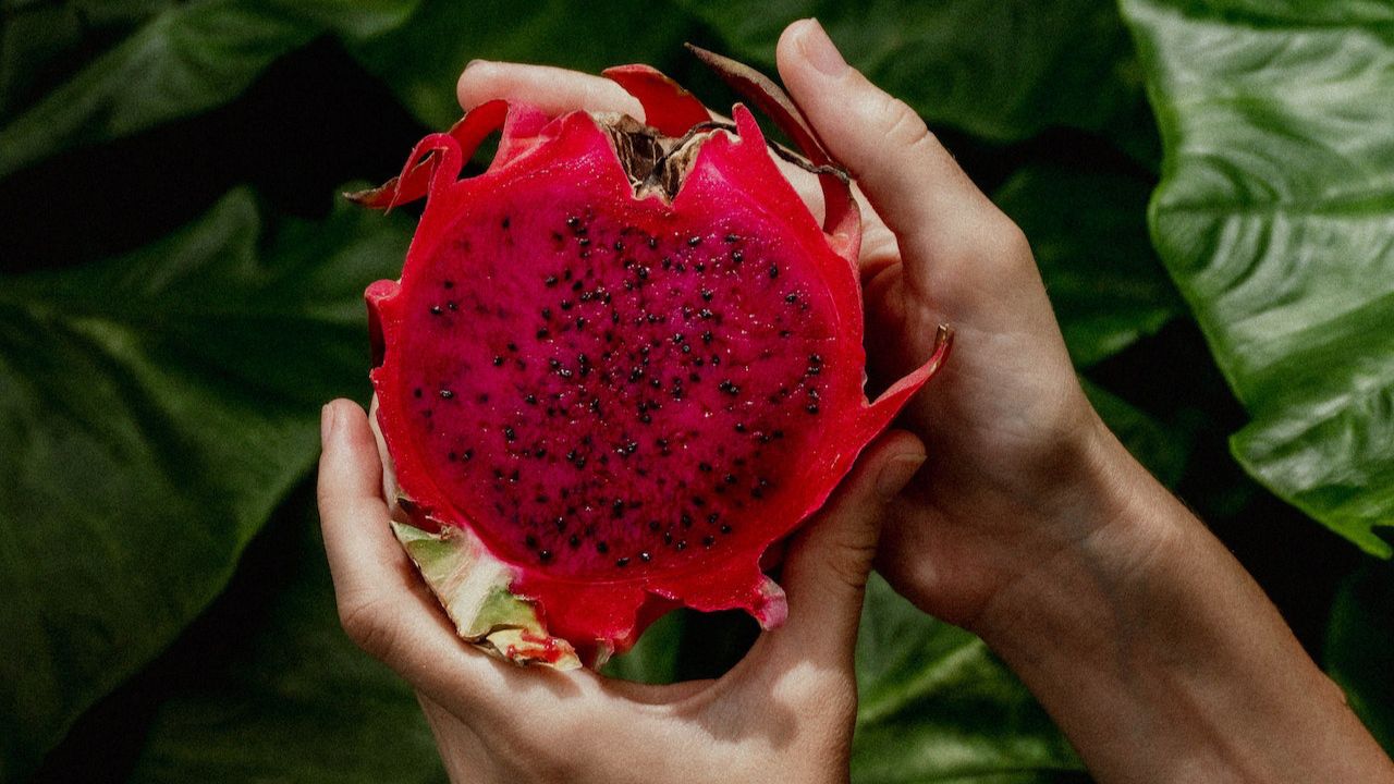 Ilustrasi. Manfaat buah naga merah untuk kesehatan/Foto: Pexels