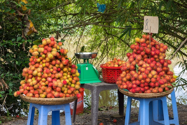 Usum Rambutan Lur, Ini 12 Jenis Rambutan dan Manfaatnya bagi Kesehatan