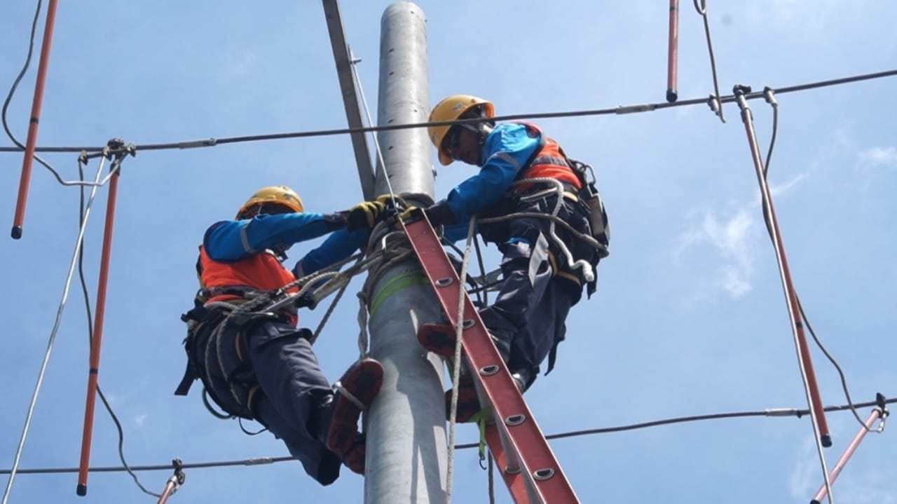 Petugas PLN memperbaiki jaringan listrik/Foto: PLN