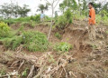 Tanah gerak akibatkan lahan pertanian ambles/Foto: BPBD Trenggalek
