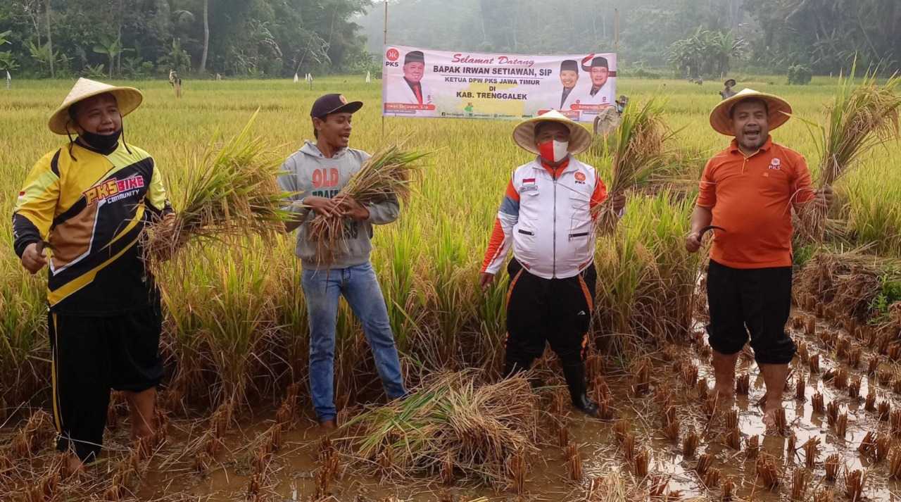 PKS Jatim luncurkan Sekolah Tani dan panen raya padi organik di Trenggalek/Foto: Dokumentasi PKS Trenggalek