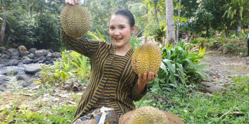 Durian khas Desa Wisata Duren Sari Trenggalek/Foto: Jadesta