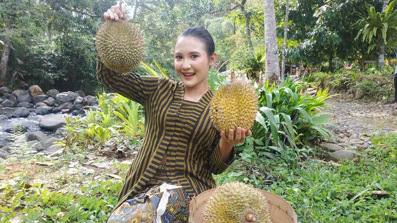 Durian khas Desa Wisata Duren Sari Trenggalek/Foto: Jadesta