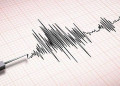 Ilustrasi. Seismograf gempa bumi/Foto: Pixabay