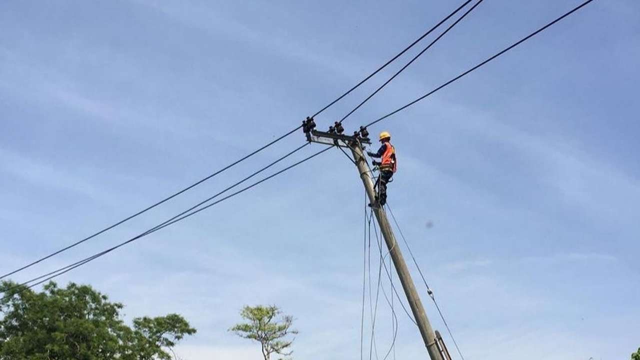 Petugas PLN sedang memperbaiki jaringan listrik/Foto: PLN