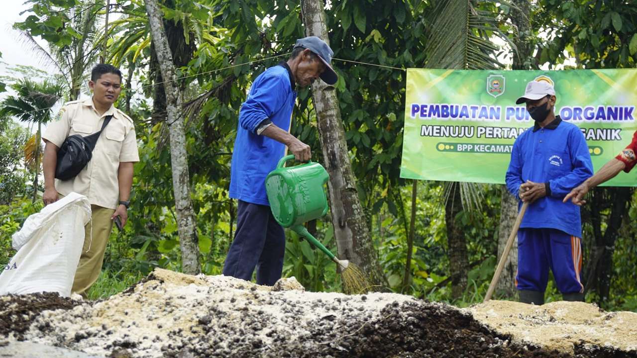 Pembuatan pupuk organik di Kecamatan Gandusari, Trenggalek/Foto: Kabar Trenggalek