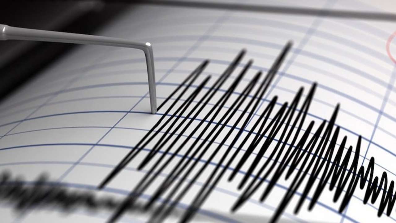 Ilustrasi seismograf mendeteksi gempa Trenggalek hari ini/Foto: @thevalleynews (Instagram)