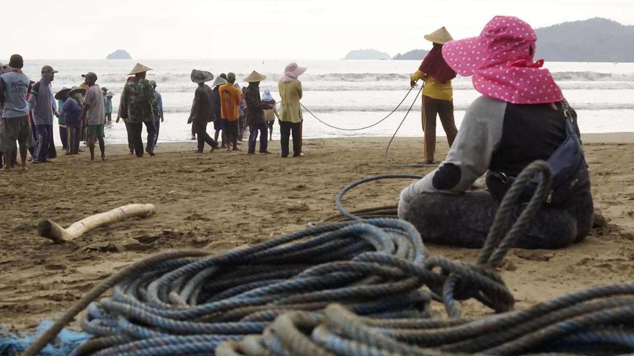 Nelayan jaring tarik di pesisir Pantai Blado, Kecamatan Munjungan, Trenggalek/Foto: Raden Zamz (Kabar Trenggalek)
