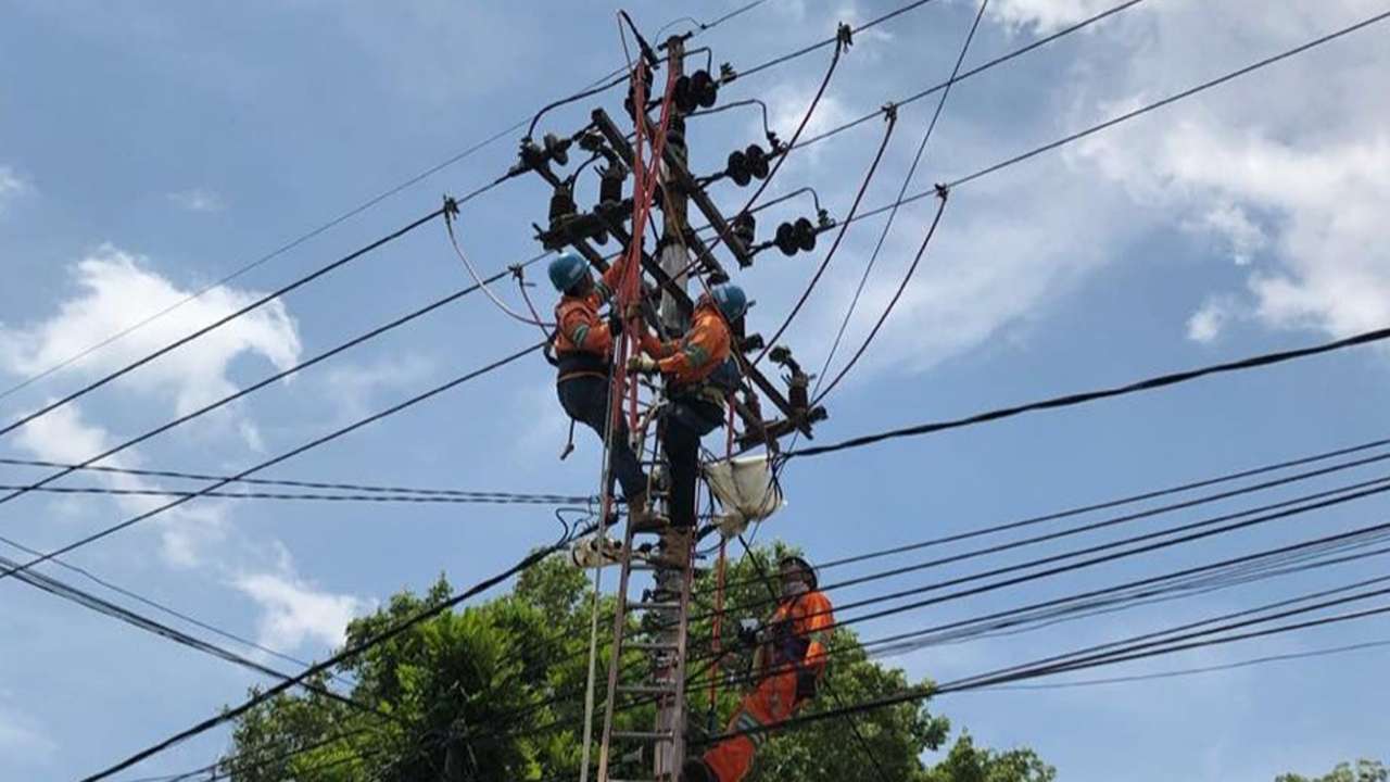 Pasukan Pekerjaan Dalam Keadaan Bertegangan (PDKB) menelusuri penyebab pemadaman listrik Malang/Foto: PDKB Malang