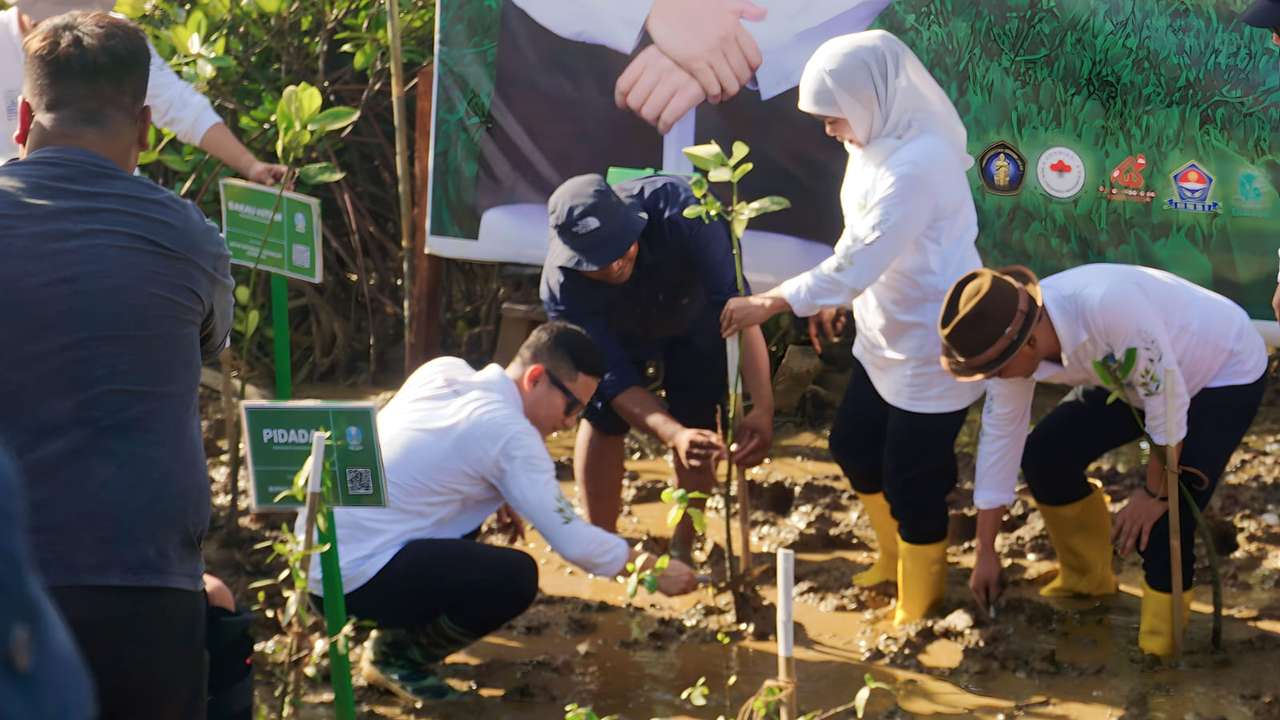 Gubernur Khofifah dan Bupati Mas Ipin menanam pohon di Festival Mangrove Jawa Timur ke-4/Foto: Beni Kusuma (Kabar Trenggalek)