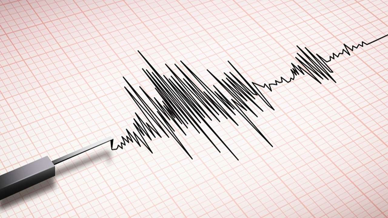 Ilustrasi seismograf. Gempa hari ini di Trenggalek/Foto: Istimewa